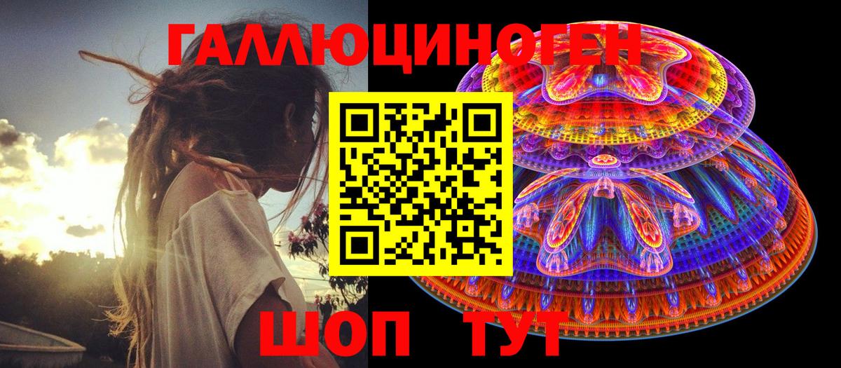 Псилоцибиновые грибы Cubensis Дзержинский