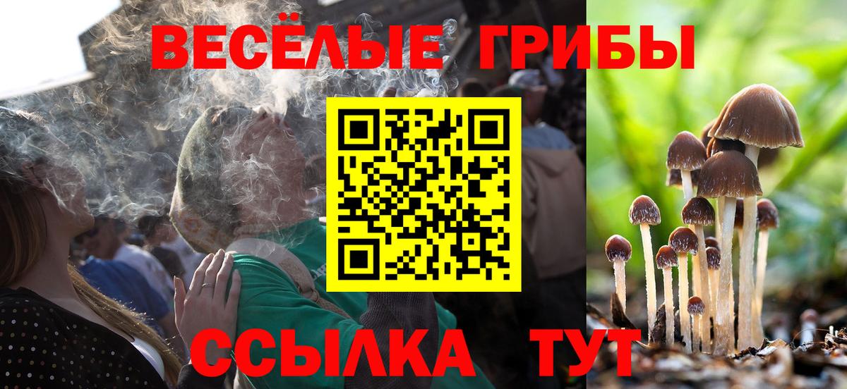 Дзержинский  Галлюциногенные грибы MAGIC MUSHROOMS  Вход с VPN 